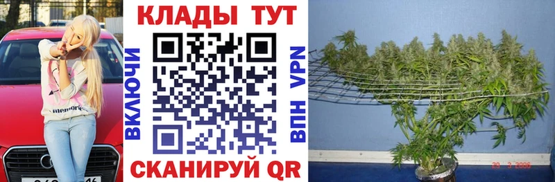 Виды наркоты Нягань КОКАИН Галлюциногенные грибы ГАШ Alpha-PVP АМФ Марихуана МЕФ