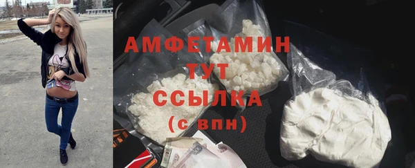 сатива Аркадак