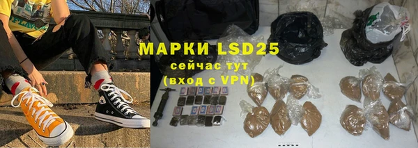 сатива Аркадак