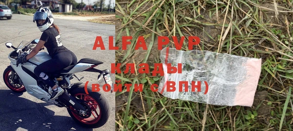 сатива Аркадак