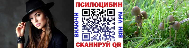 kraken ONION  Нягань  Галлюциногенные грибы мицелий 